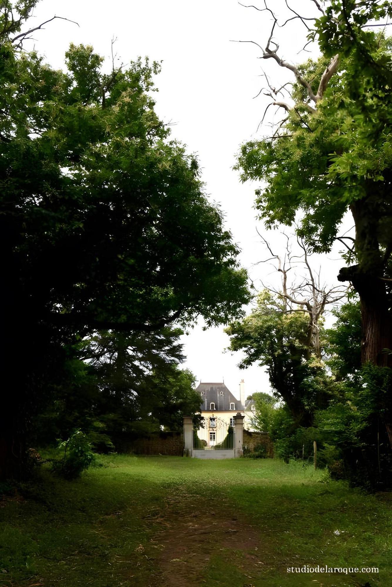 Domaine De La Briouse Bed & Breakfast Sanxay Eksteriør bilde